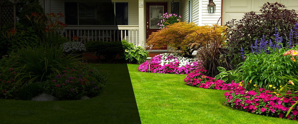 Lisbon Landscapers